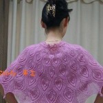 uzor_pavlin[2]